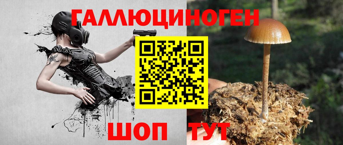 Псилоцибиновые грибы мицелий Россошь